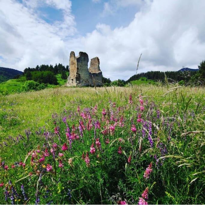 Gite L'Enclos O Rendez-Vous Roquefeuil-Pays De Sault- Avec Jardin ภายนอก รูปภาพ