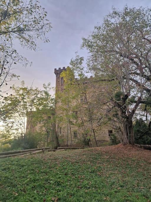 Gite L'Enclos O Rendez-Vous Roquefeuil-Pays De Sault- Avec Jardin ภายนอก รูปภาพ