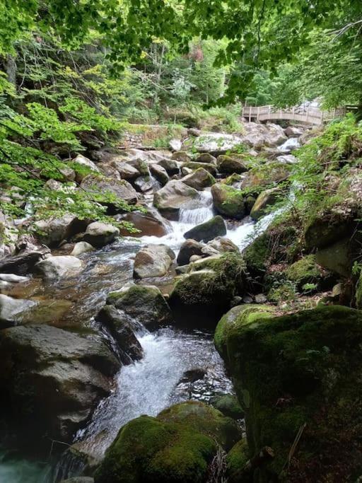 Gite L'Enclos O Rendez-Vous Roquefeuil-Pays De Sault- Avec Jardin ภายนอก รูปภาพ